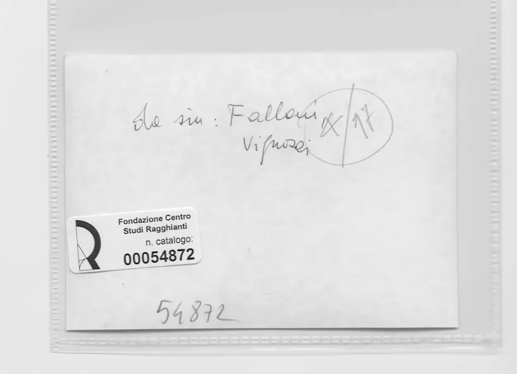 Saba, Benvenuto , retro