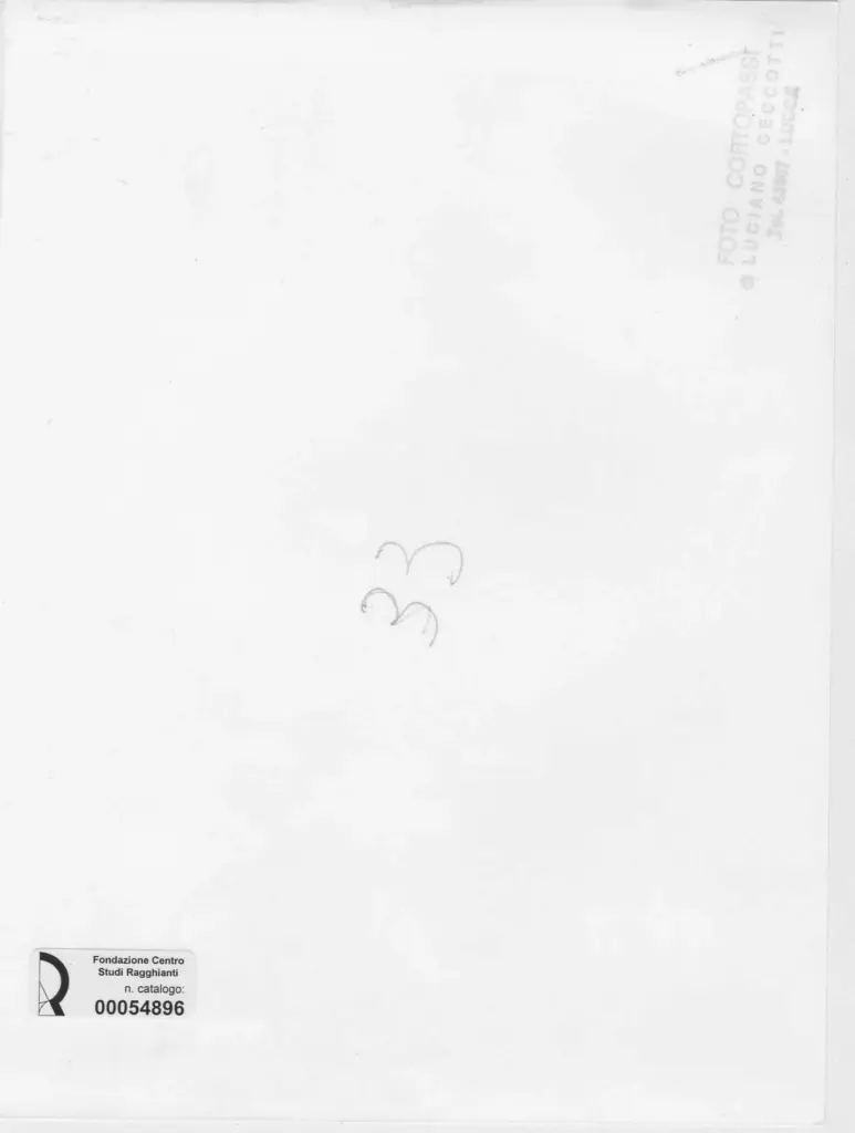 Foto Cortopassi , retro