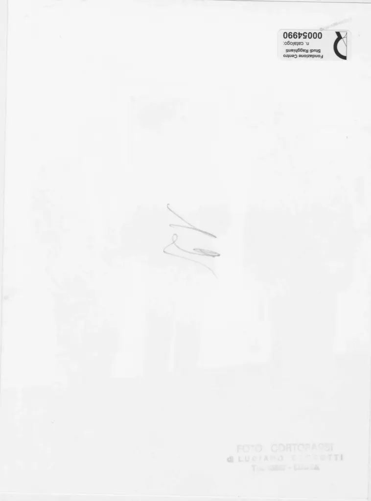 Foto Cortopassi , retro