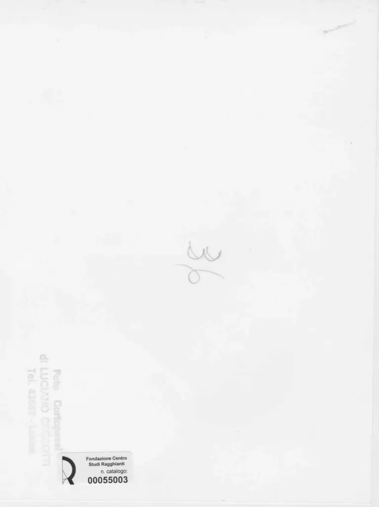 Foto Cortopassi , retro