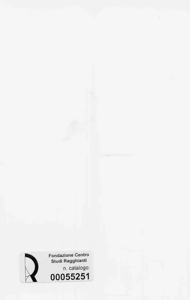 Dini, Stefano , retro