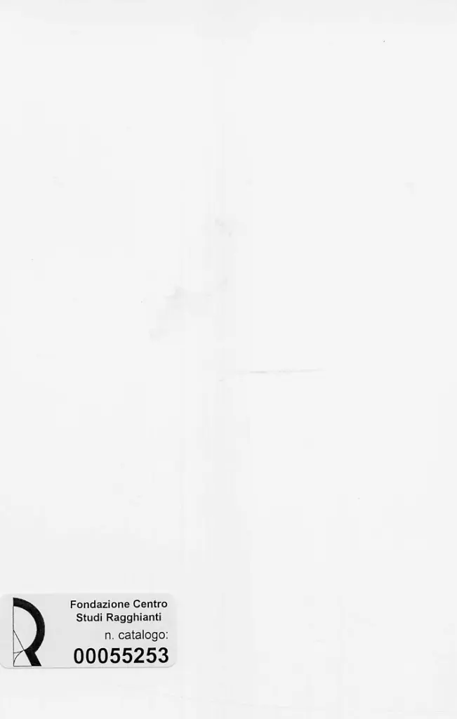 Dini, Stefano , retro