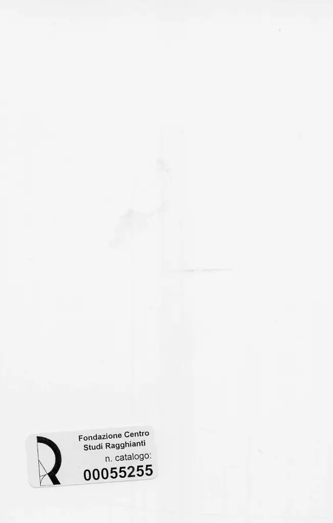 Dini, Stefano , retro