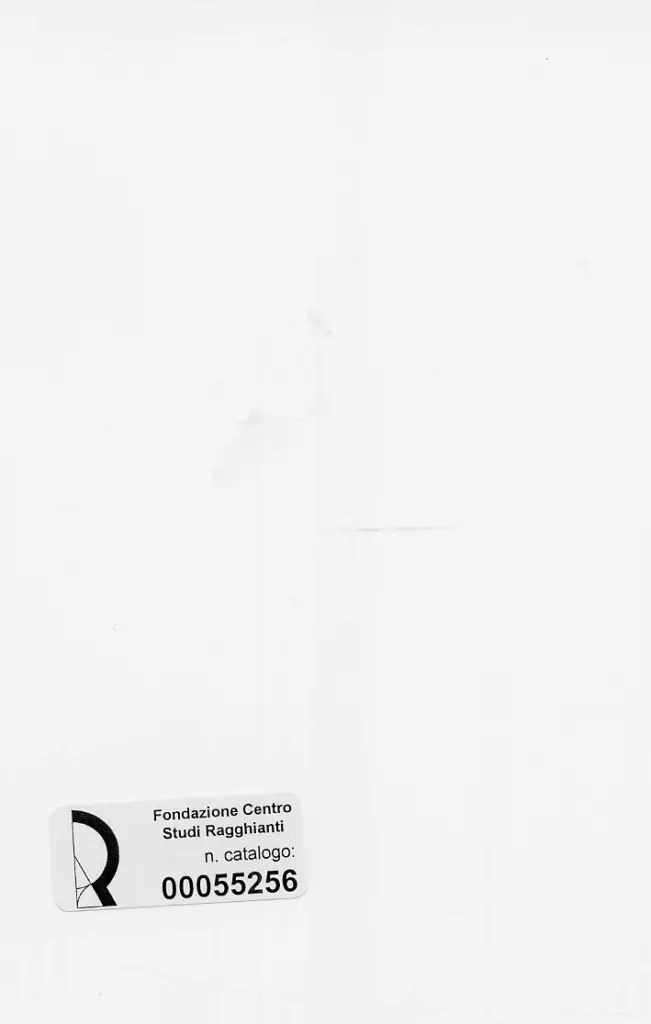 Dini, Stefano , retro