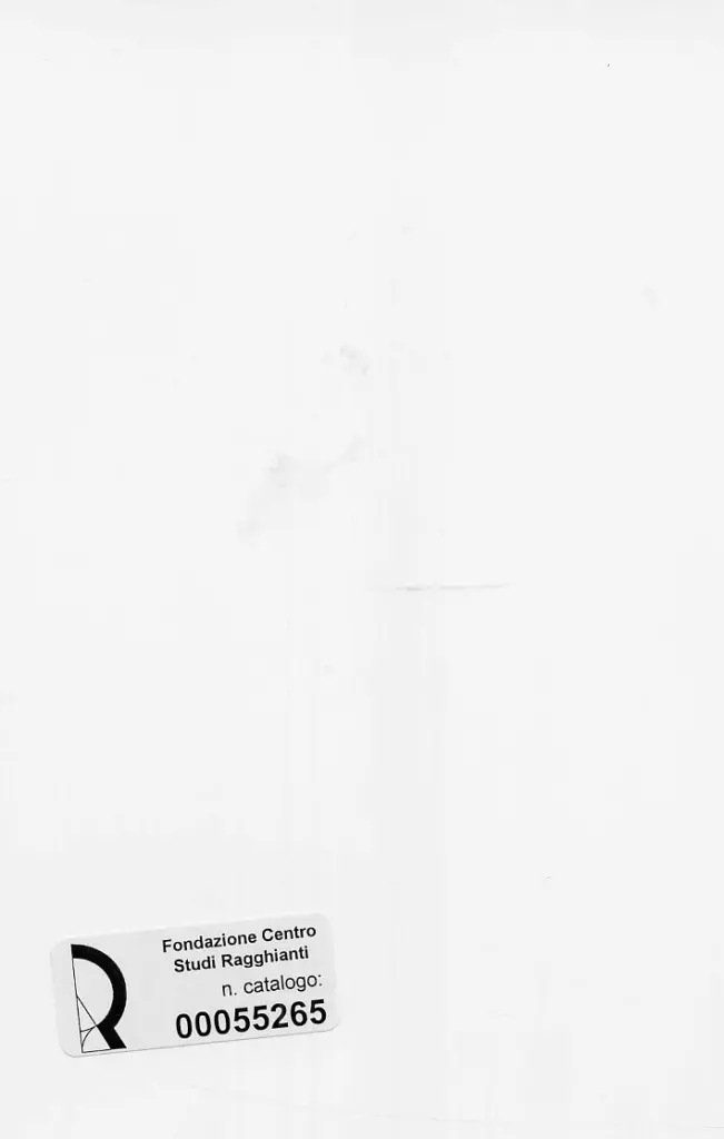 Dini, Stefano , retro