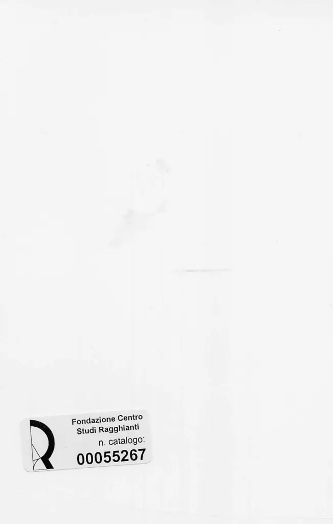 Dini, Stefano , retro