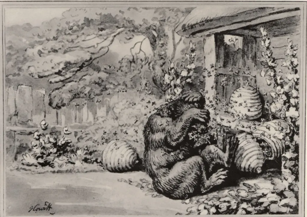 Anonimo , Howitt, Samuel - sec. XIX - Animals and Birds , fronte