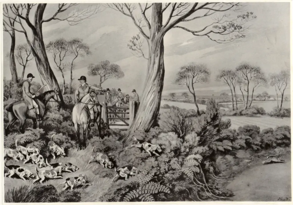 Anonimo , Howitt, Samuel - sec. XIX - British Field Sports , fronte