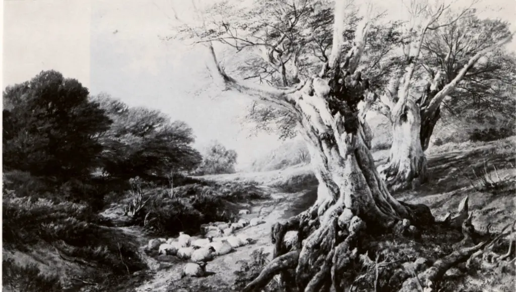 Anonimo , Hulmes, Frederick William - sec. XIX - Sheep Resting on a woodland Track , fronte