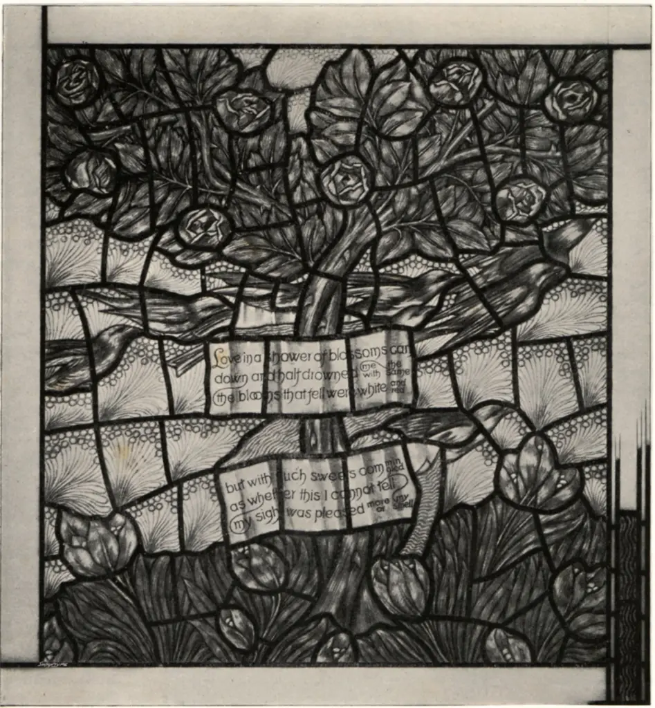 Image, Selwyn , Alberi e rose