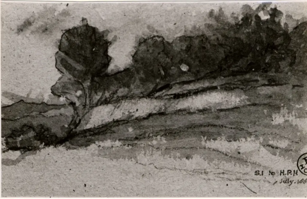 Image, Selwyn , Paesaggio con alberi