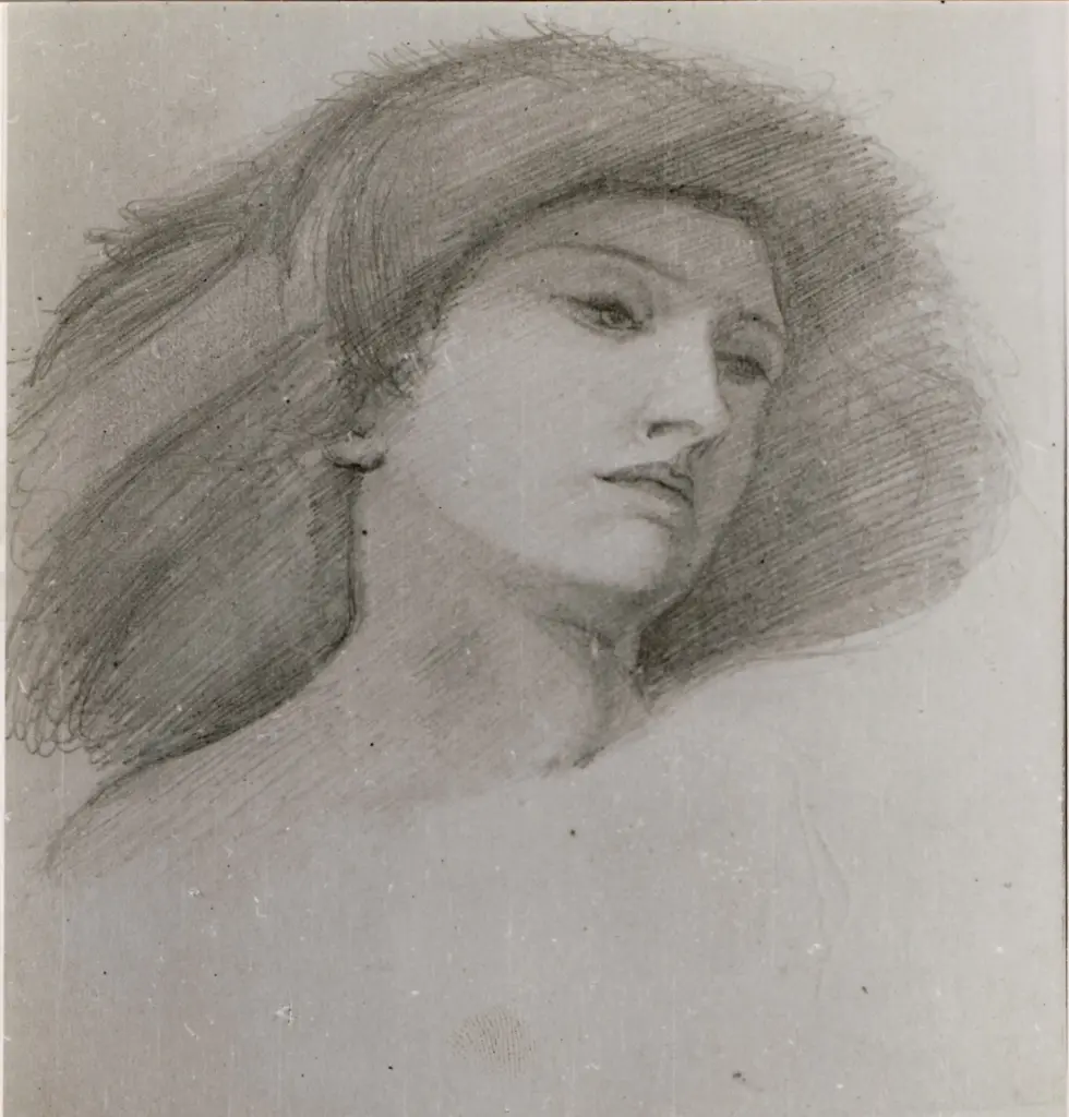 Image, Selwyn , Donna con grande cappello