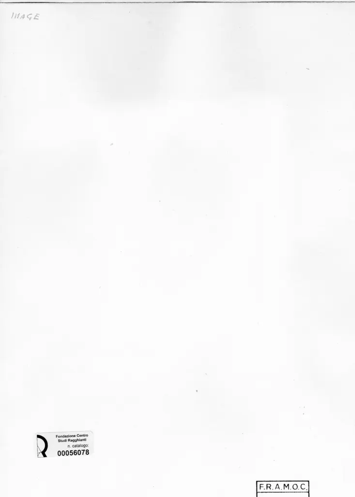 Anonimo , Image, Selwyn - sec. XIX - Volto di donna , retro