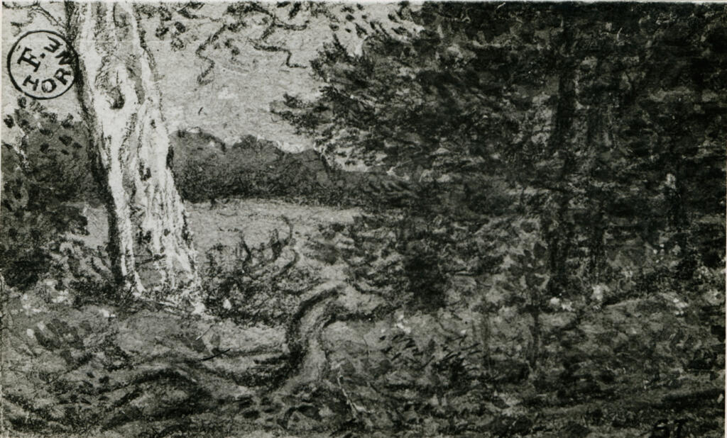 Anonimo , Image, Selwyn - sec. XIX - Paesaggio con alberi , fronte