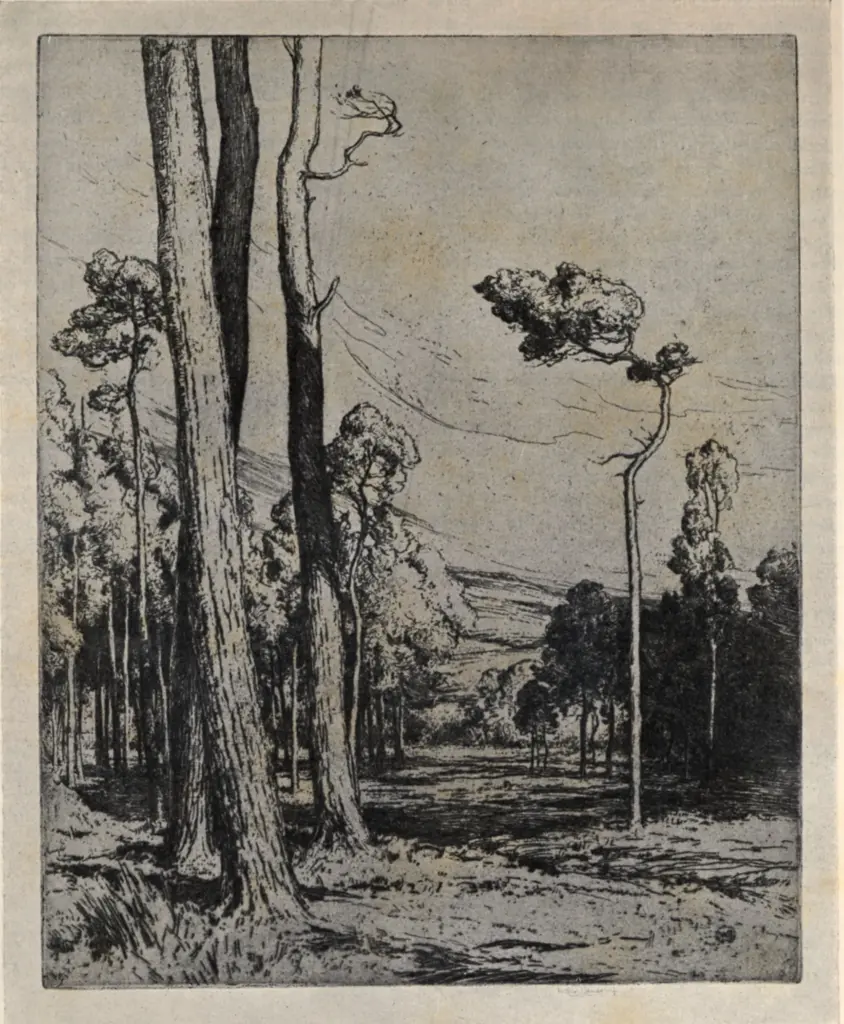 Anonimo , James, Walter - sec. XX - The pine wood , fronte