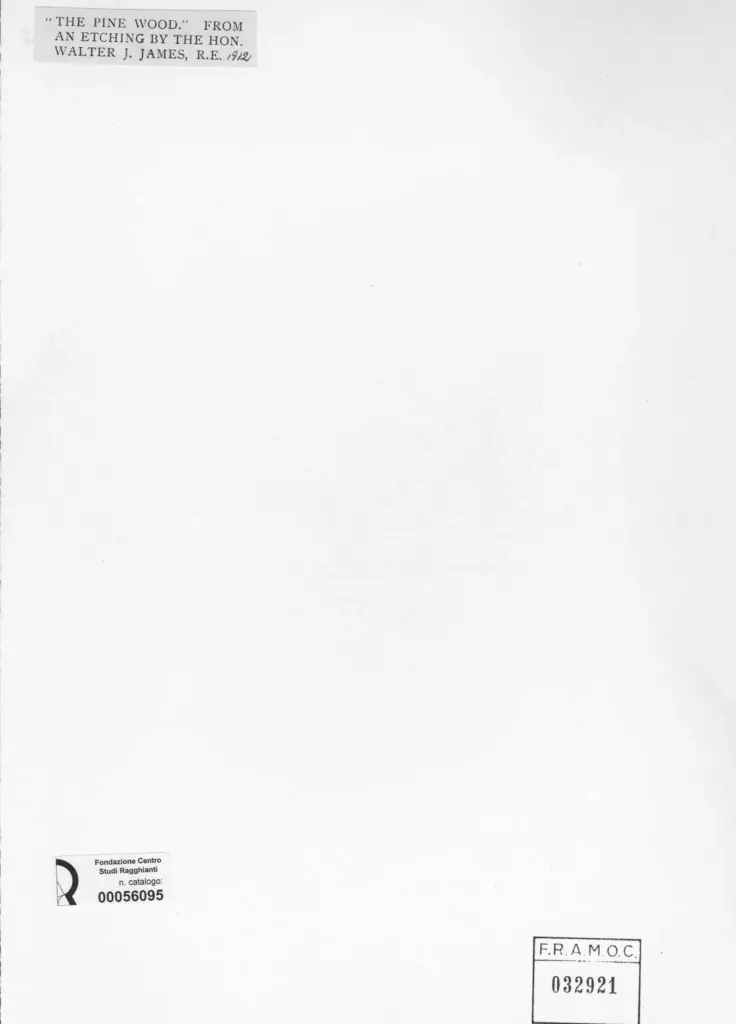 Anonimo , James, Walter - sec. XX - The pine wood , retro