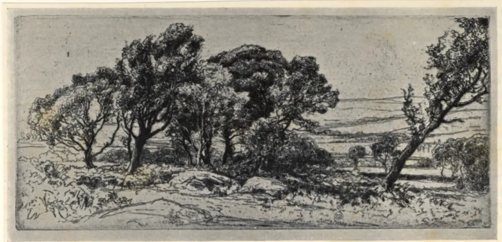 Anonimo , James, Walter - sec. XX - The Knowe , fronte