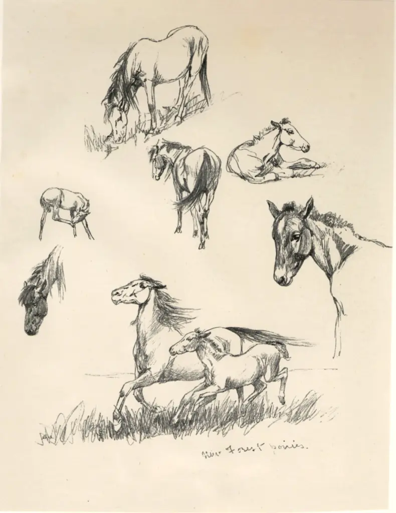 Kemp-Welch, Lucy , Forest ponies"" -
