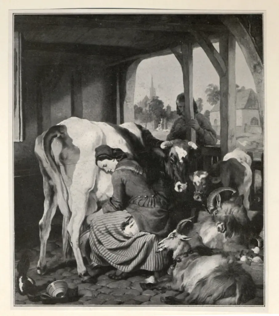 Landseer, Edwin Henry , fronte