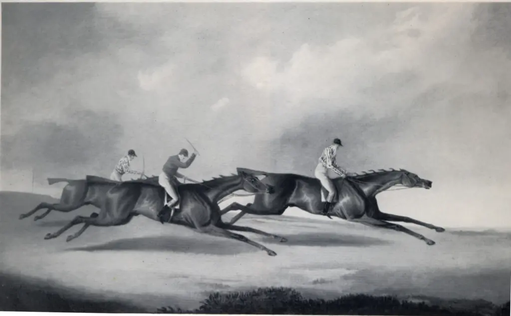 Anonimo , da Laporte, Reeve - sec. XIX - The derby of 1825 , fronte