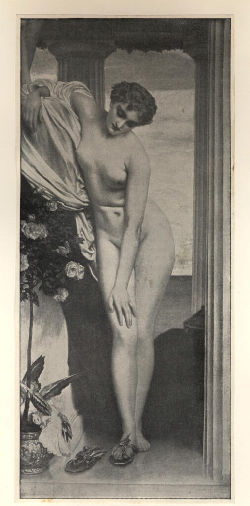 fronte