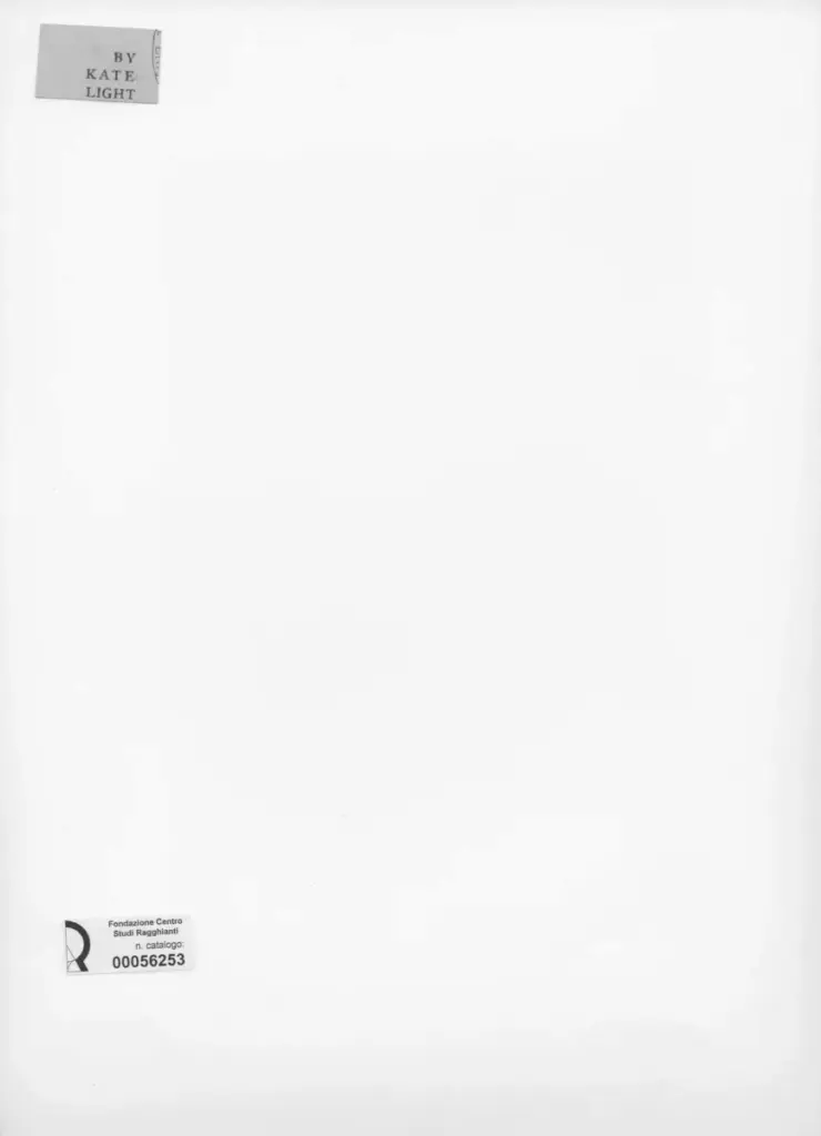 Anonimo , Light, Kate - sec. XIX - The bag of the bee , retro