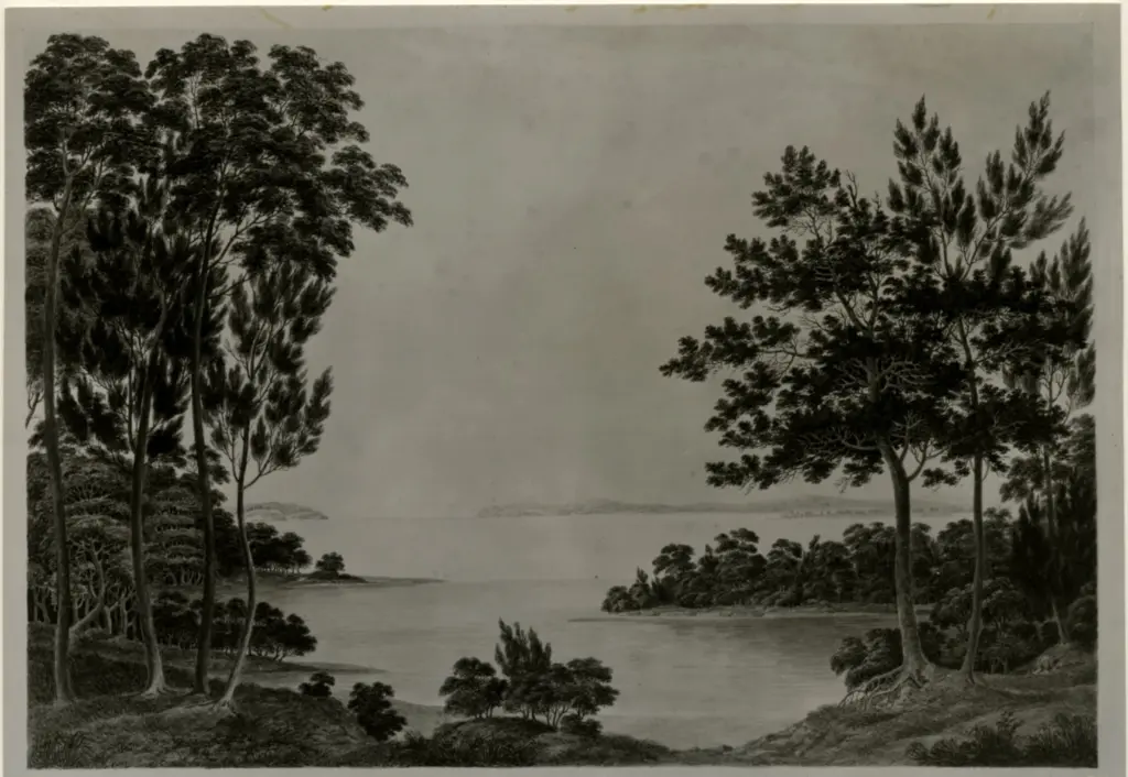 Anonimo , Lycett, Joseph - sec. XIX - Purple morocco , fronte