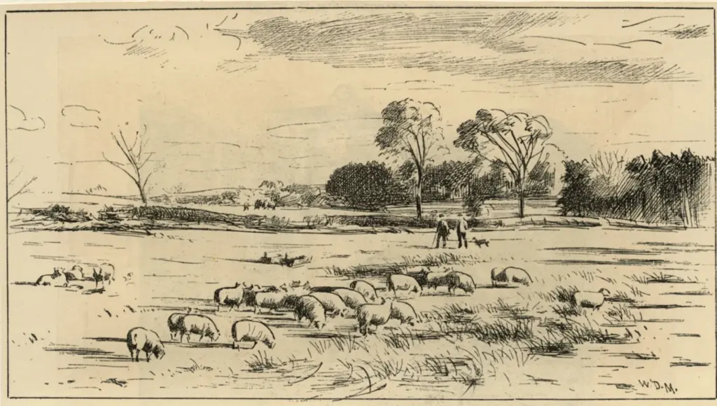 Mac Kay, W. D. , Pastorale &eacute;cossaise. - A Scottish Pastoral -