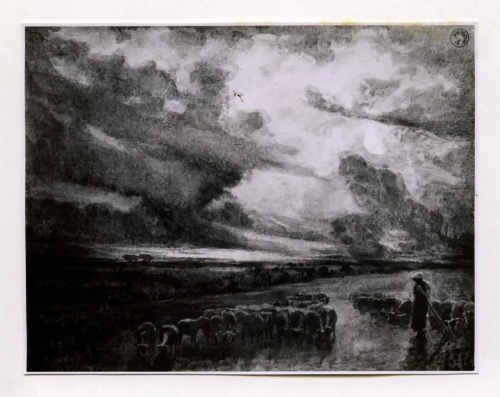 Anonimo, Anonimo , fronte