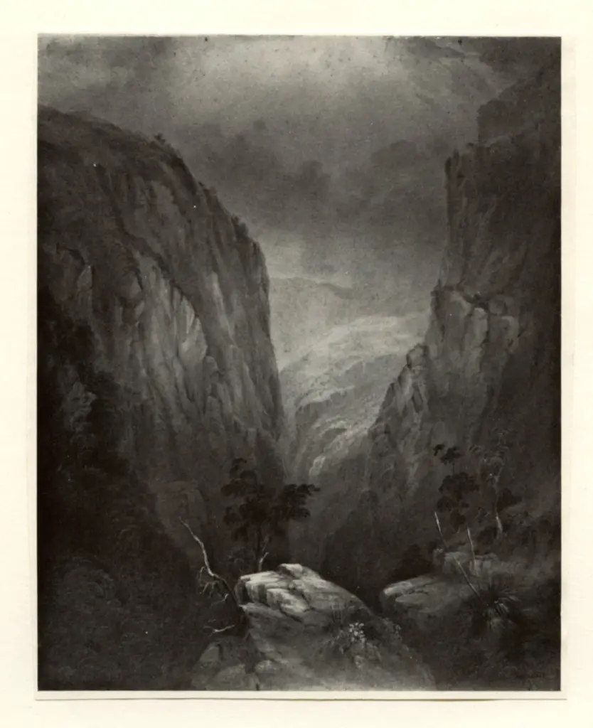 Anonimo , Martens, Conrad - sec. XIX - Australia. A Mountain Gully , fronte