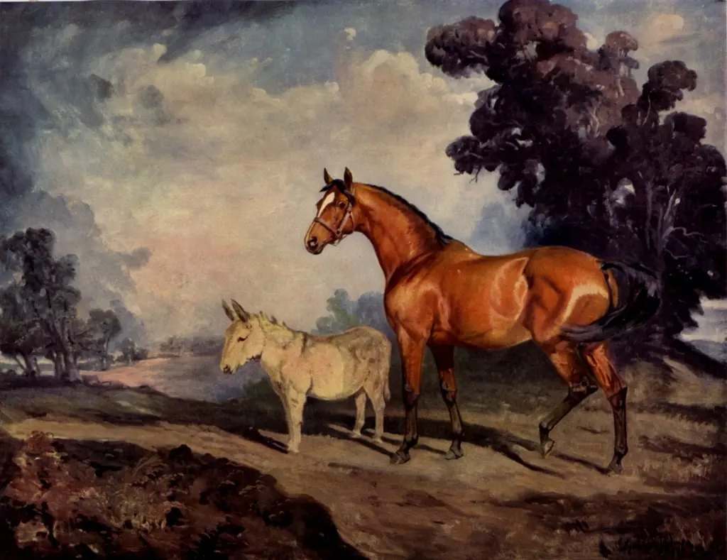 Anonimo, Anonimo , fronte