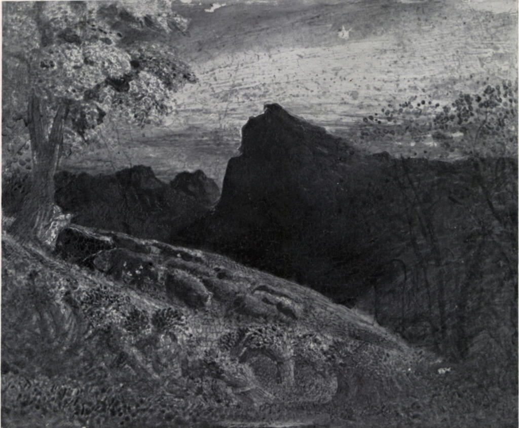 Anonimo , fronte