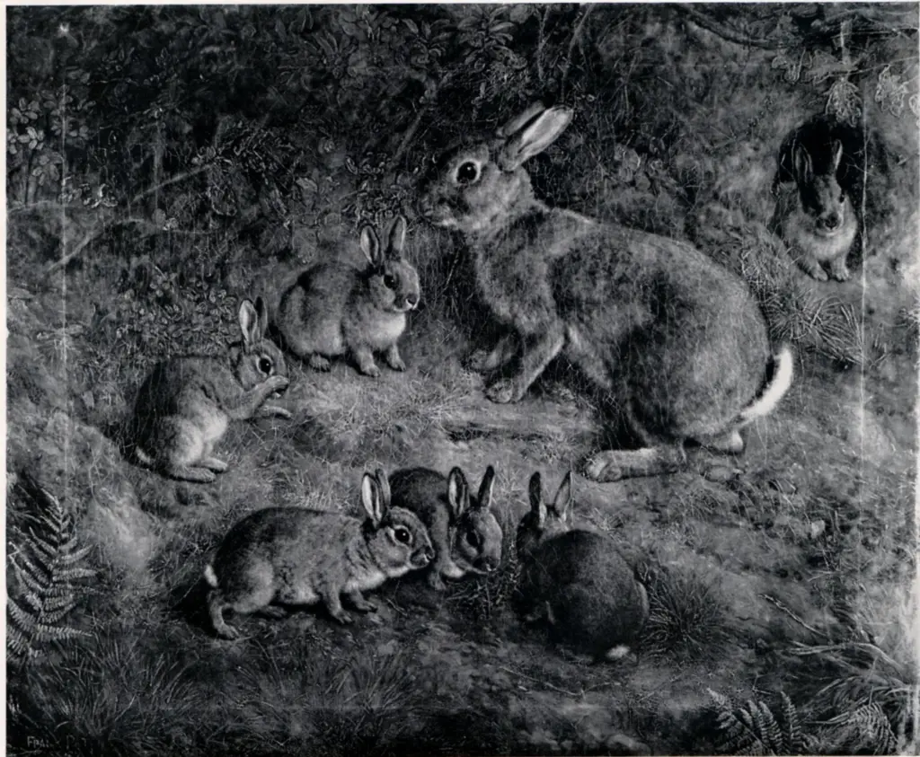 Anonimo , Paton, Frank - sec. XIX - Conigli giocano su un prato , fronte