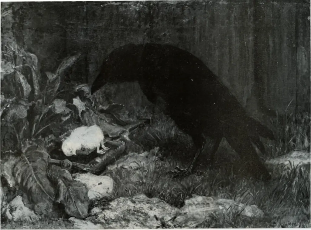 Anonimo, Anonimo , fronte