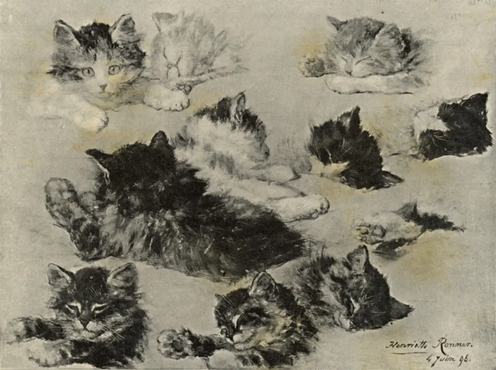 Anonimo, Anonimo , fronte