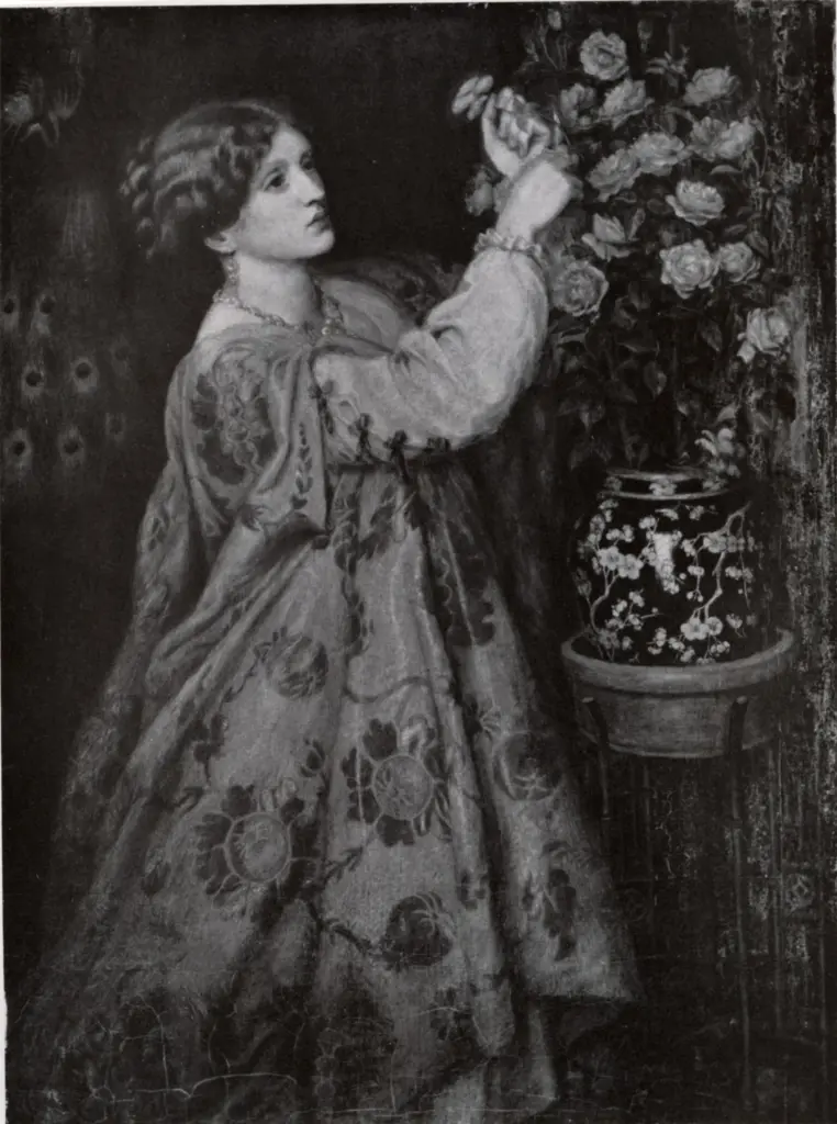 Anonimo, Anonimo , fronte