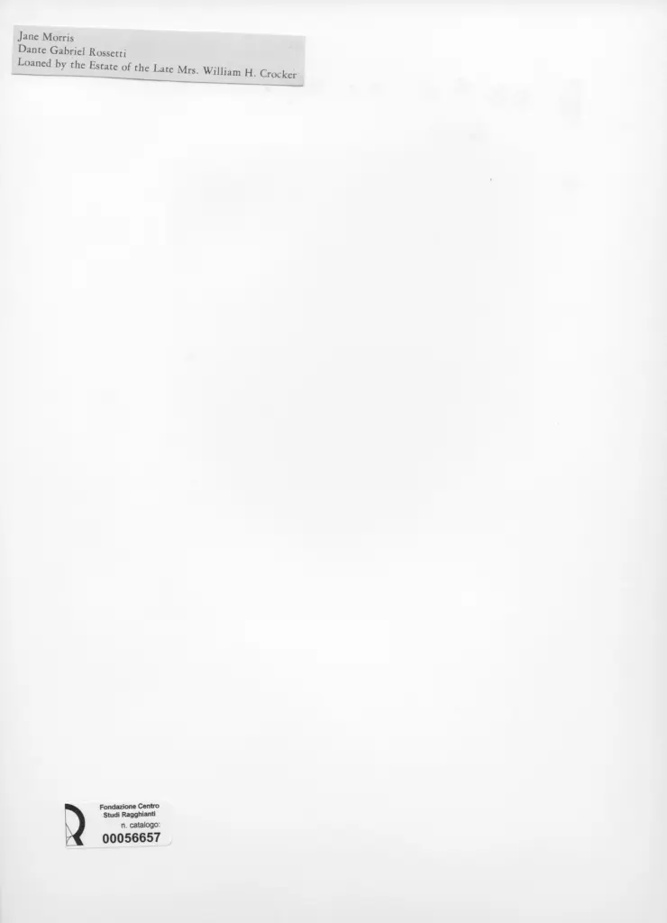 Anonimo, Anonimo , retro