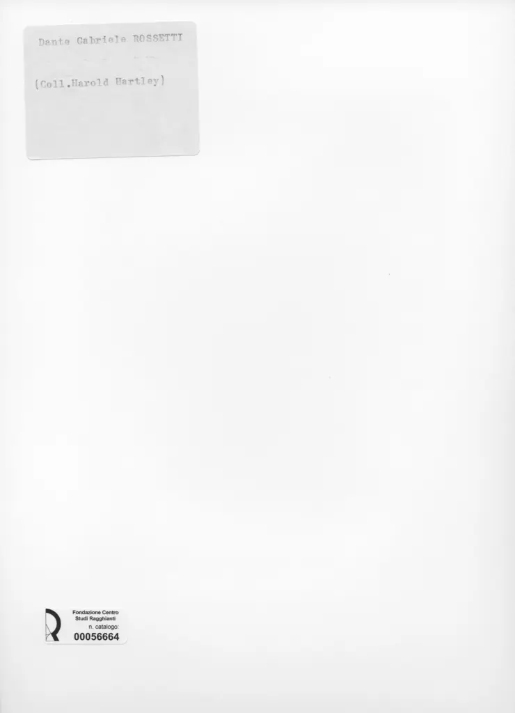 Anonimo, Anonimo , retro