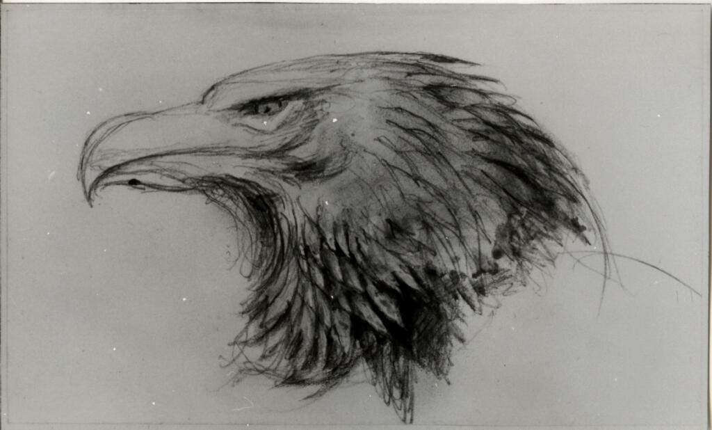 Anonimo , fronte