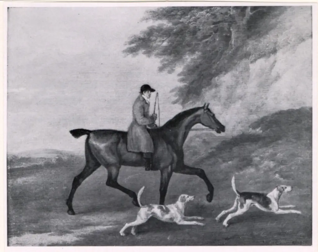 Sartorius, John Nott , Tolly Ho! Going to cover