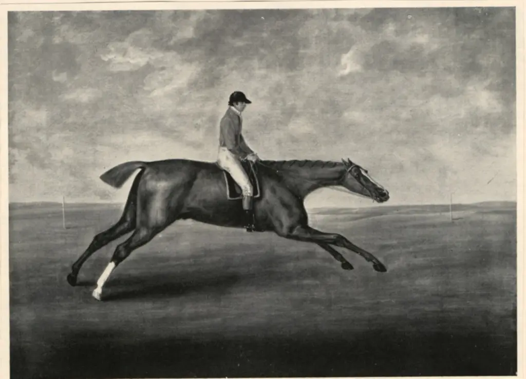 Sartorius, John Nott , Eclipse