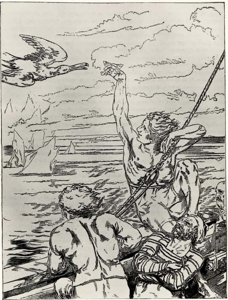 Scott, David , Marinai