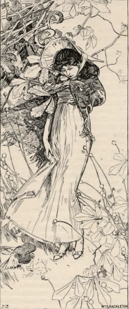 Anonimo, Anonimo , fronte