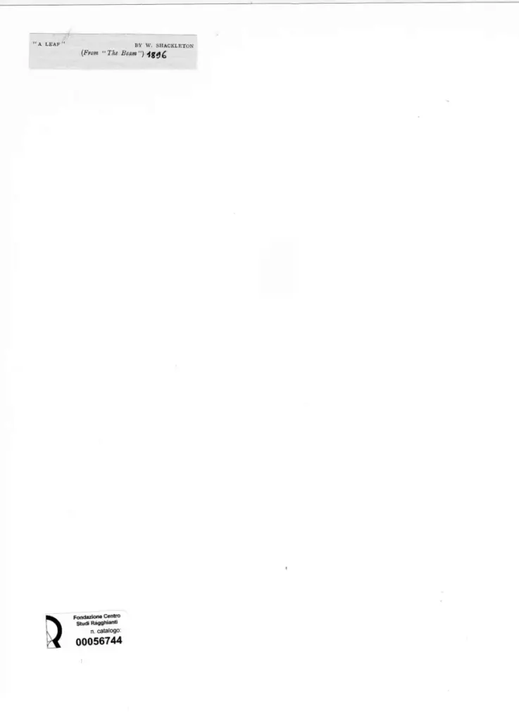 Anonimo, Anonimo , retro