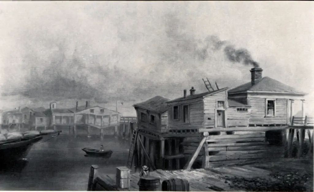 Anonimo, Anonimo , fronte