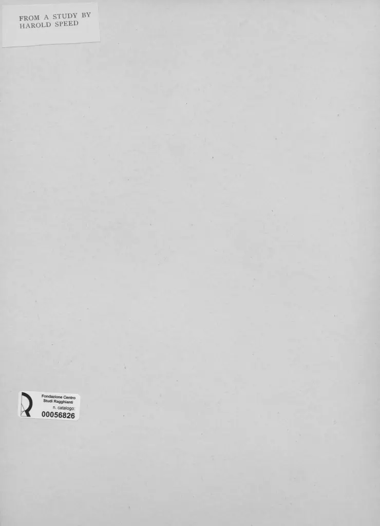 Anonimo, Anonimo , retro