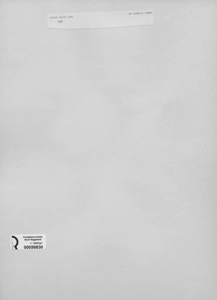 Anonimo, Anonimo , retro