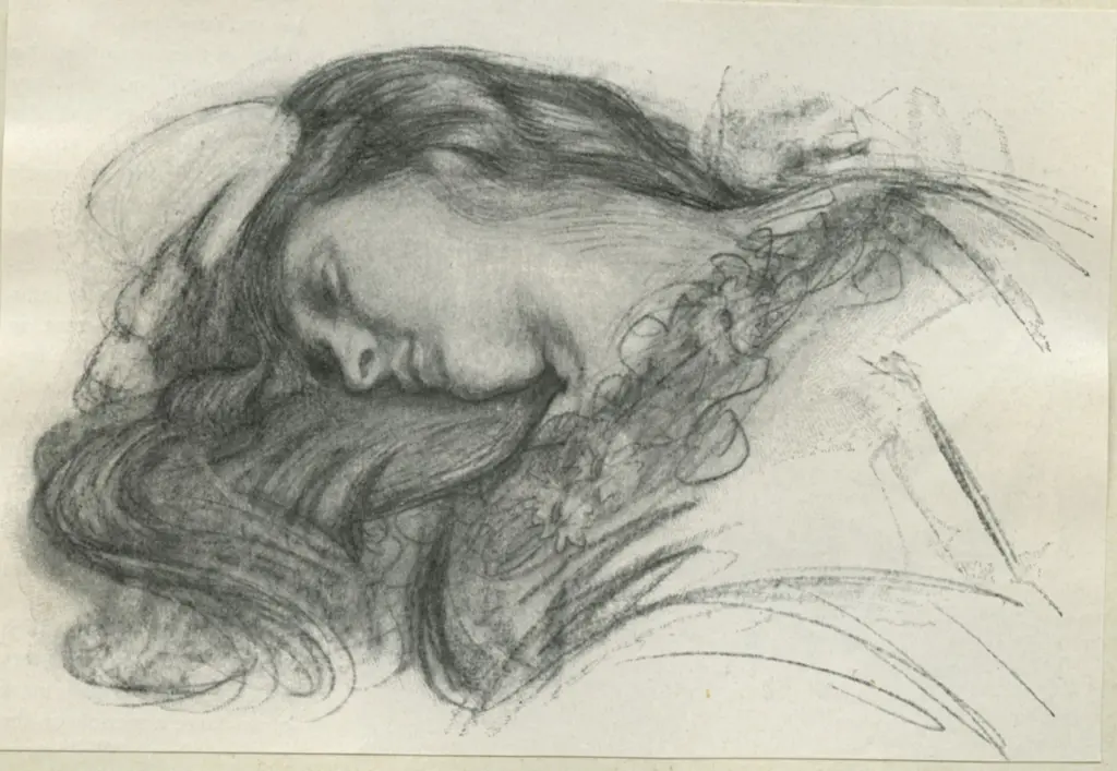 Anonimo, Anonimo , fronte