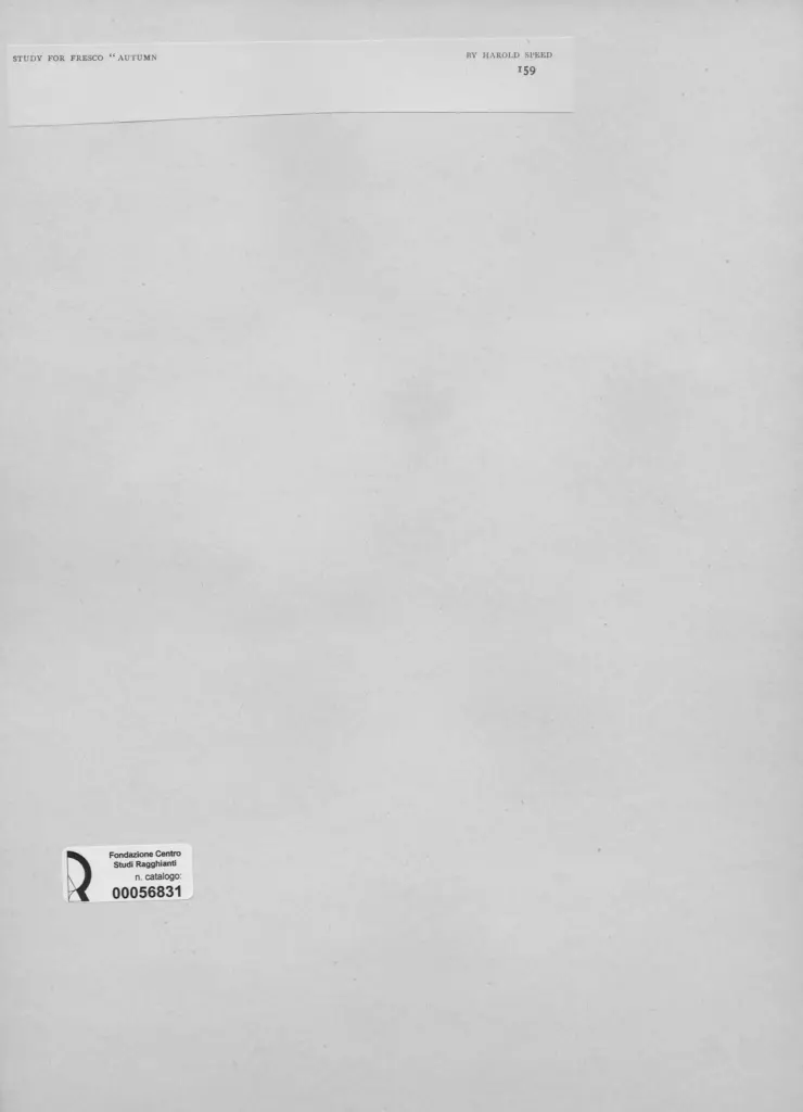 Anonimo, Anonimo , retro