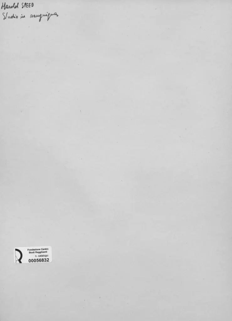 Anonimo, Anonimo , retro